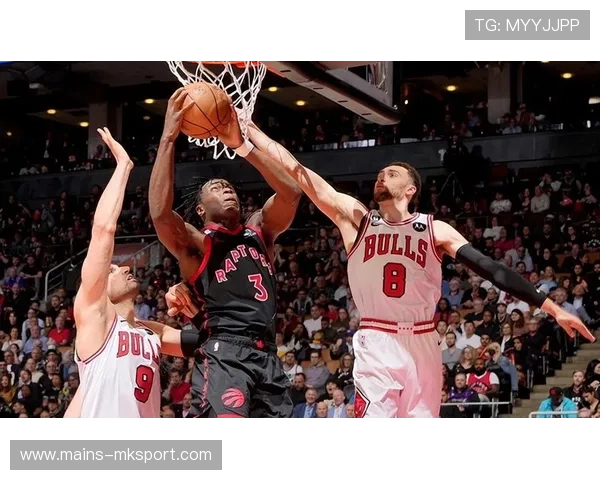 湖人队主场再战，争取胜利关键战，湖人队赛场